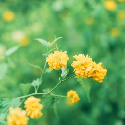 散人无双手游最新版下载